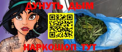 индика Будённовск