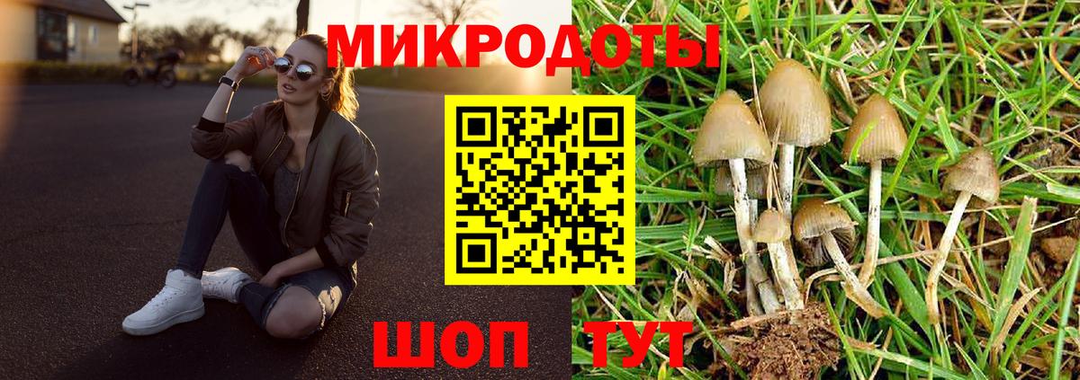 Галлюциногенные грибы мицелий Тамбов