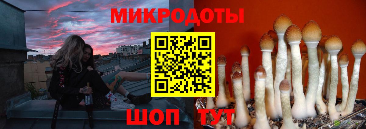 Галлюциногенные грибы MAGIC MUSHROOMS  Вход с VPN  Тамбов 
